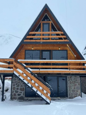 Infinity Chalets in Kazbegi